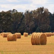 SISAL ROUND BALE TWINE, Committed AG